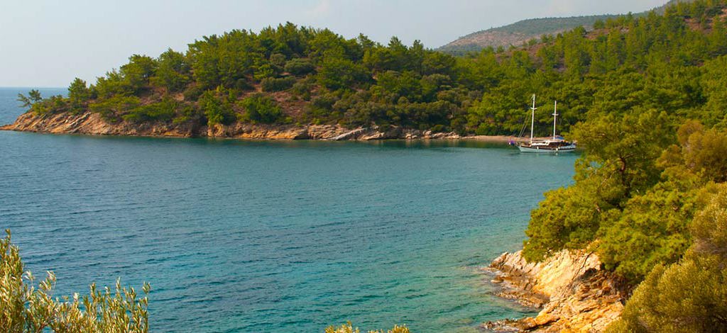 Hotels in Yaliciftlik